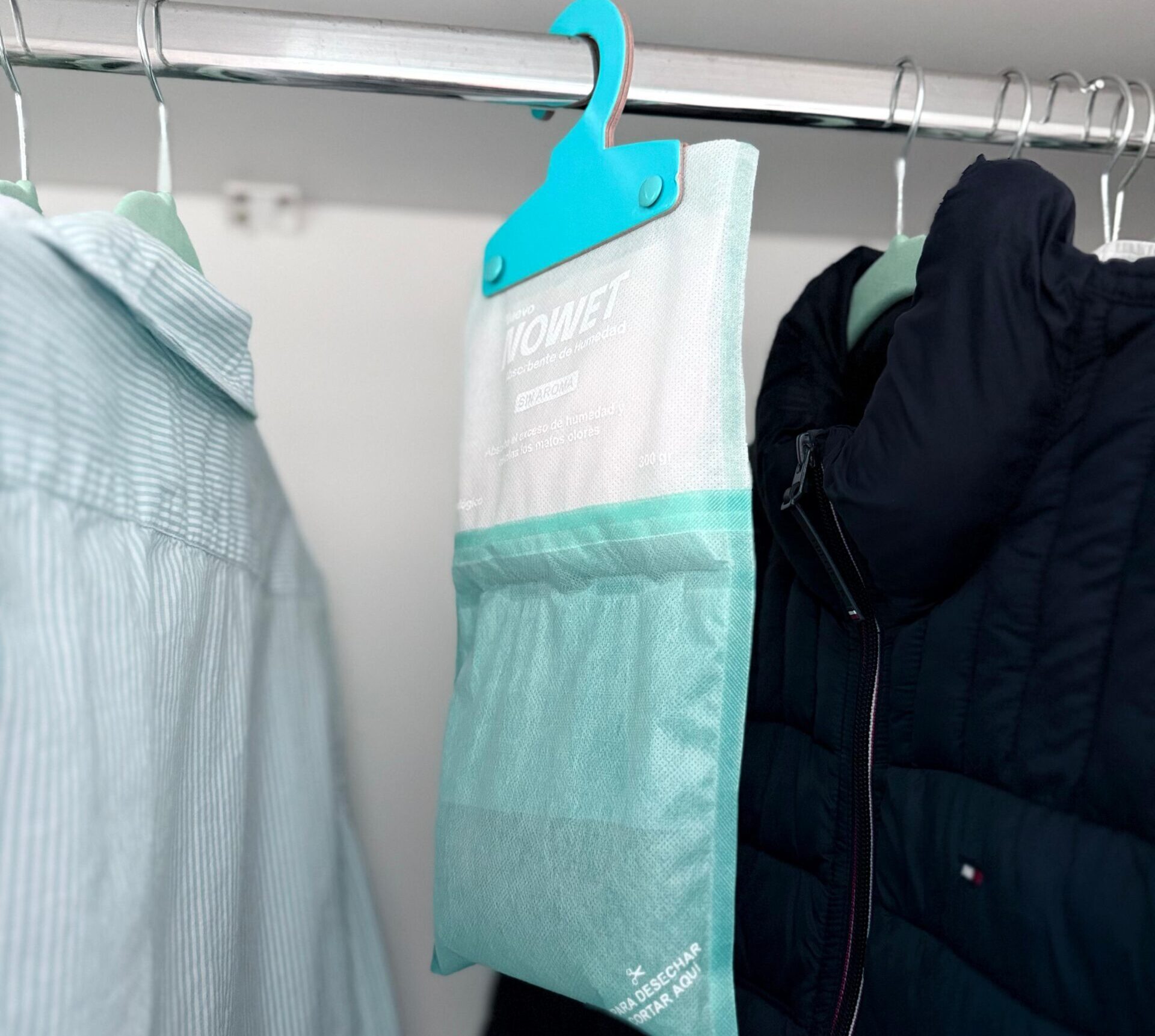 Imagen de WhatsApp 2024-12-19 a las 22.17.14_1c45bfeb