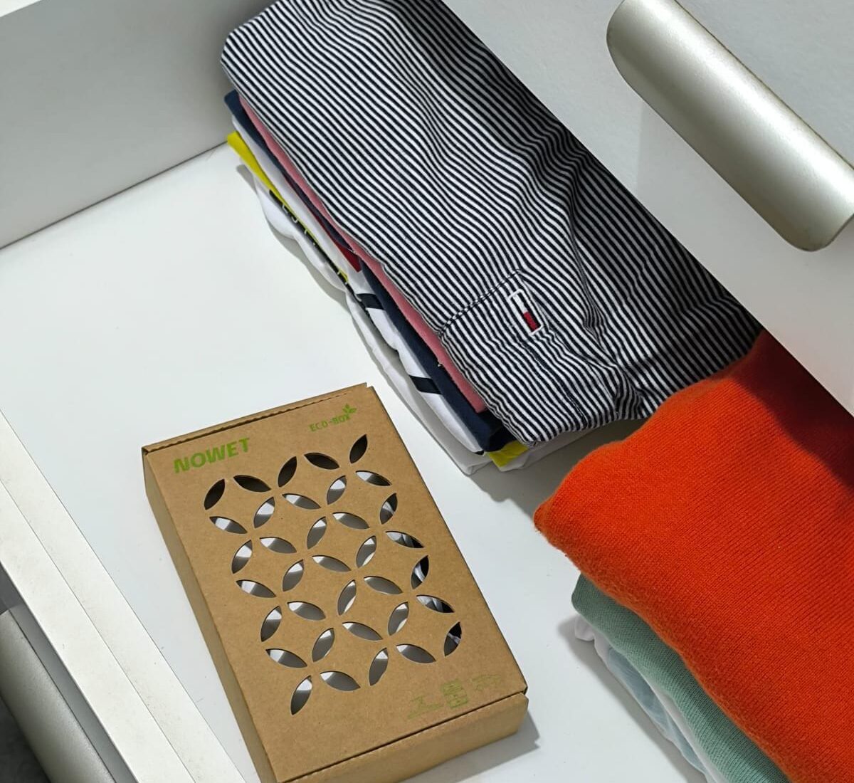 Imagen de WhatsApp 2024-12-19 a las 23.06.11_b2139c01